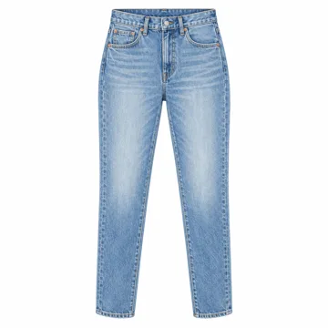AI-generated style illustration for Levi's Women's Wedgie Slim; not a retailer photograph