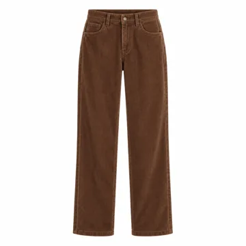 AI-generated style illustration for GRAPENT Corduroy Pants for Women High Waisted Straight Leg Elastic Waist Stretchy Casual Work Pants Fall Winter Trousers; not a retailer photograph